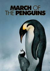 Rent March of the Penguins on DVD