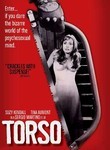 Torso