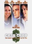 Cash Crop