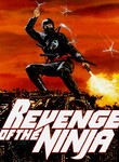 Revenge of the Ninja