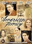 American Family: Season 1 (6-Disc Series)