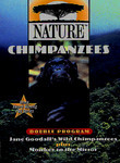 Nature: Chimpanzees