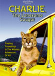 Charlie the Lonesome Cougar