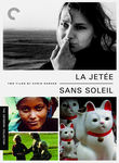 Without Sun (Sans soleil) poster