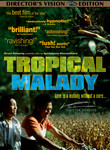 Tropical Malady