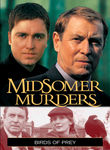 Midsomer Murders: Birds of Prey