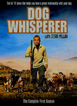 Dog Whisperer with Cesar Millan: Season 1 (4-Disc Series)