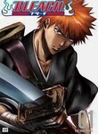 Bleach: Vol. 1: The Substitute