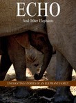Echo and Other Elephants
