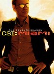 CSI: Miami: Season 7 (7-Disc Series)