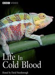 Life in Cold Blood