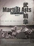 Fearless Dragons / 7 Steps of Kung Fu
