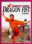 Shaolin Kung Fu: Dragon Fist