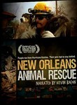 New Orleans Animal Rescue