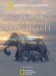 Waking the Baby Mammoth