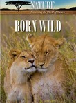 Nature: Born Wild