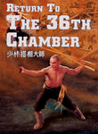 Return to the 36th Chamber