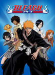 Bleach: Vol. 1: The Substitute
