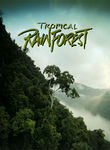 Tropical Rainforest: IMAX