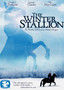 The Winter Stallion
