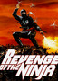 Revenge of the Ninja