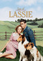Son of Lassie