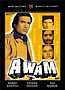 Awam