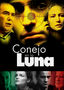 Conejo En La Luna