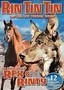 Rin Tin Tin: The Adventures of Rex & Rinty