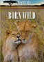 Nature: Born Wild
