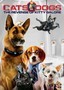 Cats & Dogs: The Revenge of Kitty Galore